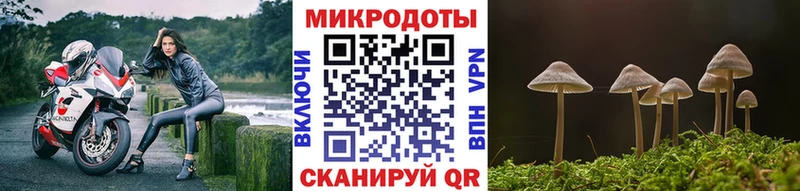 сколько стоит  Троицк  Псилоцибиновые грибы Psilocybine cubensis 