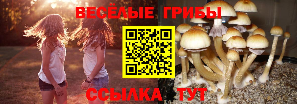 Троицк  Галлюциногенные грибы Psilocybine cubensis  Псилоцибиновые грибы Cubensis  закладка  Вход с VPN 